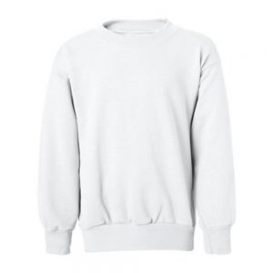 Hanes Boys 4-18 EcoSmart Fleece Sweatshirt