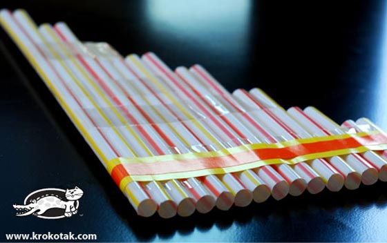 Singing Straws