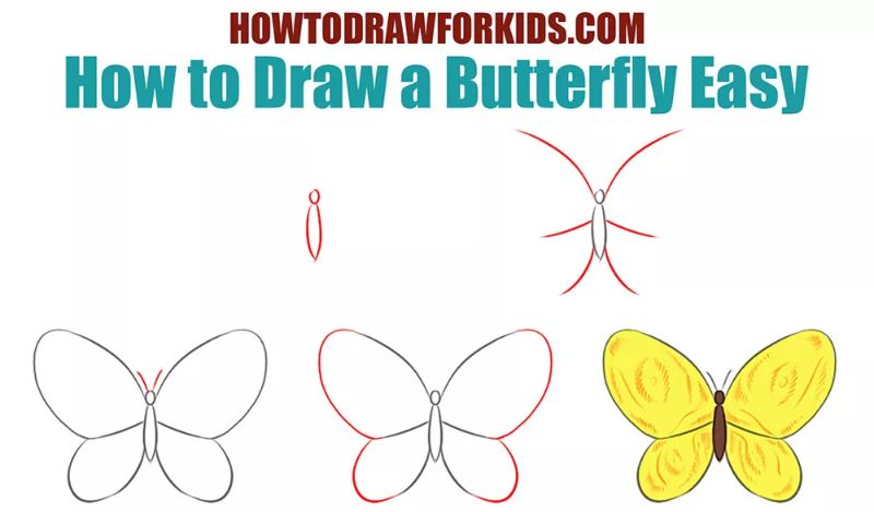 Easy Butterfly Drawing