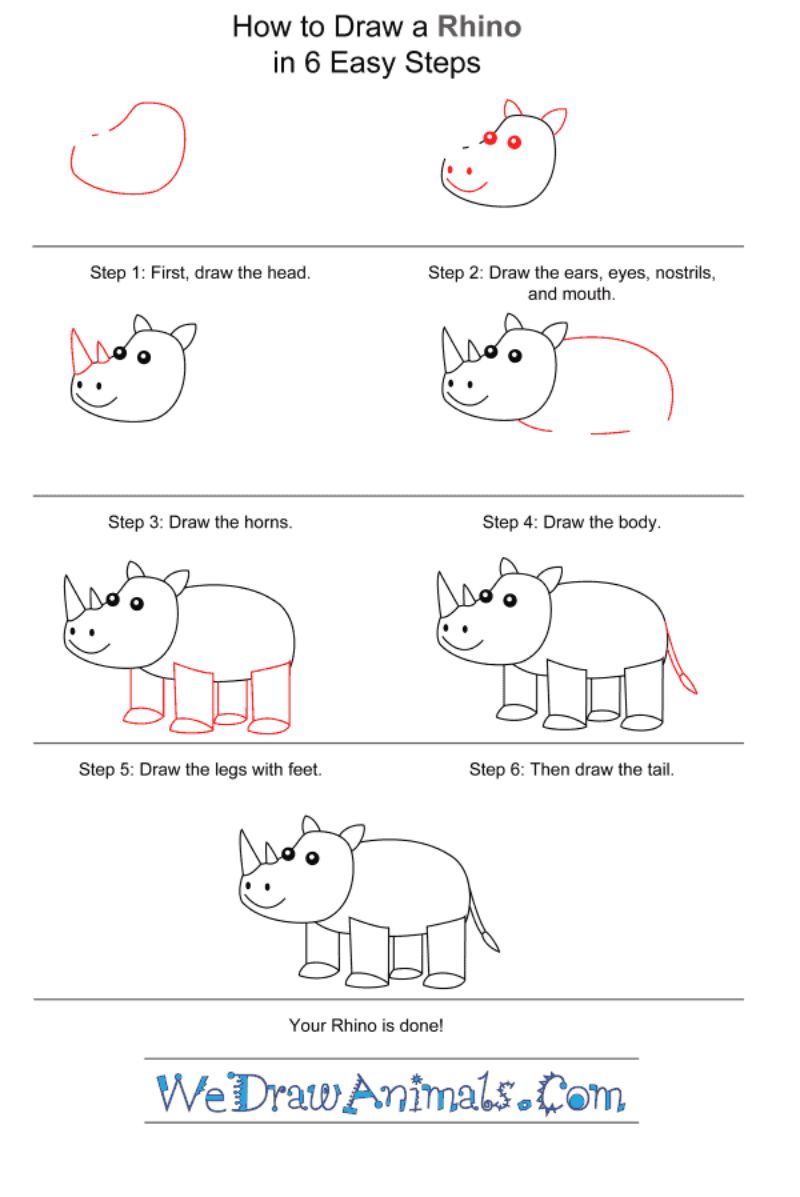 How To Draw Step By Step Animals Easy