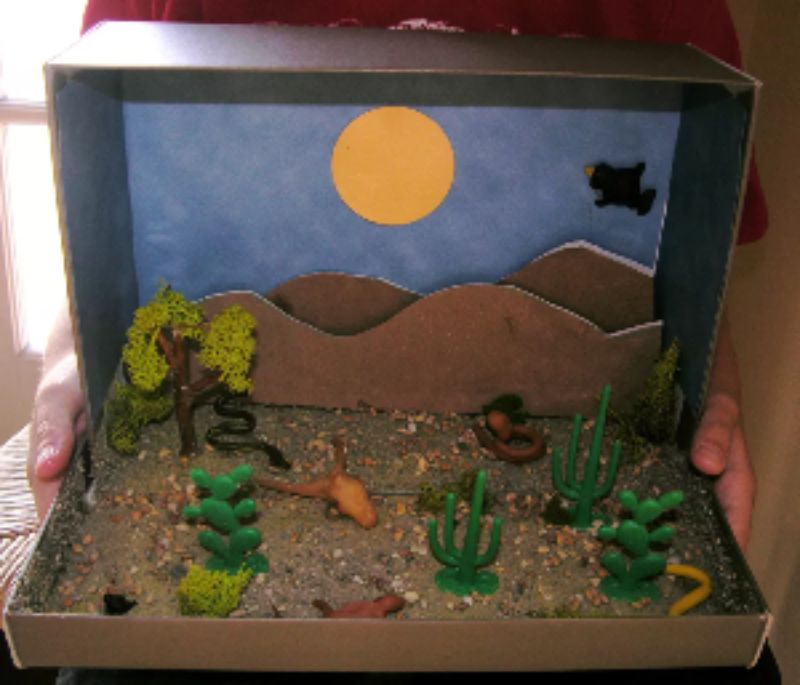 Desert Diorama Craft