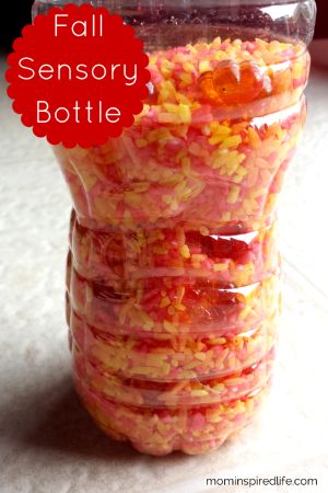 Dry Fall Sensory Bottle