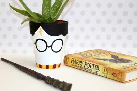 Harry Potter Pot