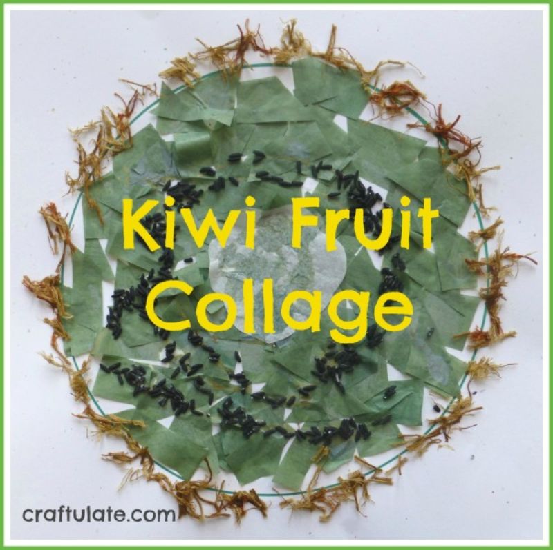 Kiwi Fruit Collage
