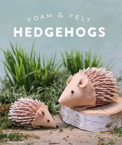  No-Sew Foam and Felt Hedgehog Craft