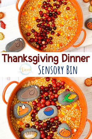 Simple Thanksgiving Dinner Sensory Bin