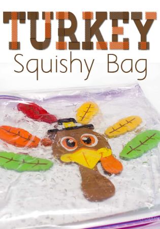 Turkey Sensory Bag
