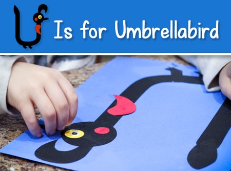 Umbrellabird Craft