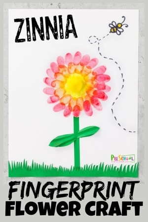 Zinnia Painting