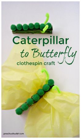 Caterpillar to Butterfly Clothespin Craft