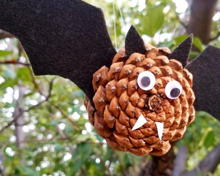 Pine Cone Bats