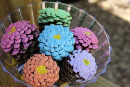 Pine Cone Flowers