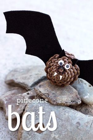 Pinecone Bats Craft