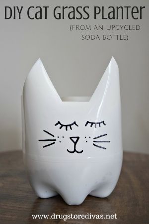  Plastic Bottle Cat Craft