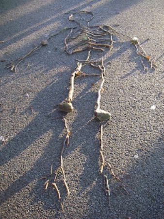 Stick and Stones Skeleton Craft