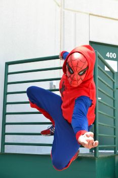 DIY Spider-Man Costume