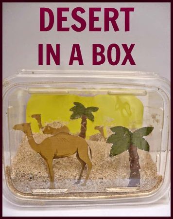 Desert In A Box Camel Craft