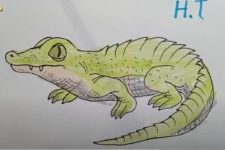 How to Draw a Crocodile for Kids: a Step-by-Step Guide
