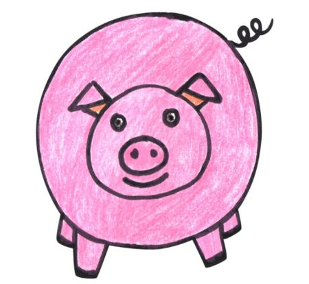 Pig Drawing for Kids