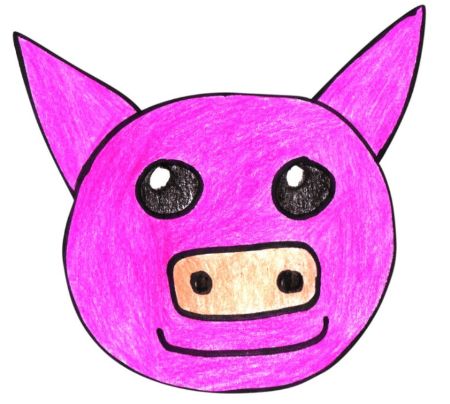 Pig Face Drawing