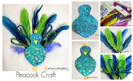 Pipe Cleaner Peacock Craft