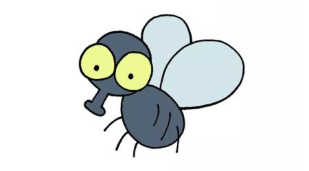 A Great Fly Drawing for Kiddos