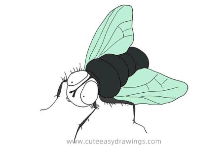 Premium Vector  Fly line art drawing style the fly sketch black linear  isolated on white background