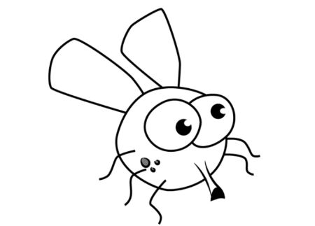 A Simplified House Fly Drawing
