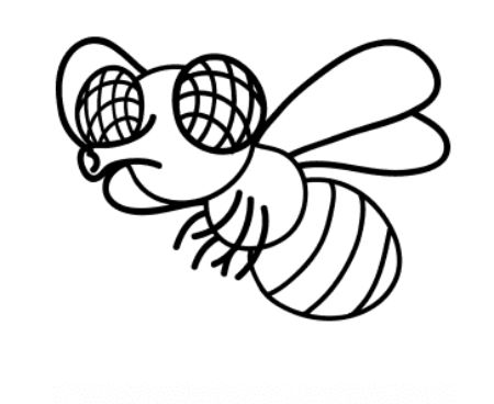 17 Fascinating Fly Drawings For Kids - Cool Kids Crafts