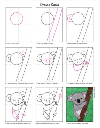 A Slightly More Realistic Koala Drawing Tutorial