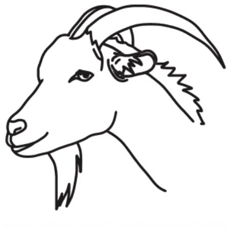 Goat Head Drawing