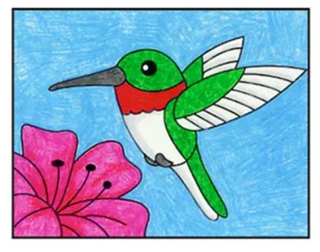 Hummingbird Drawing: Easy for Older Kids