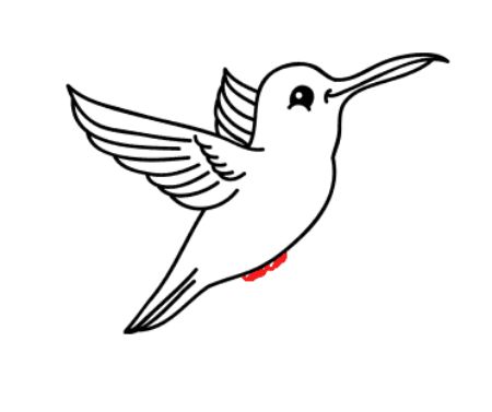 Simple Cartoon Hummingbird