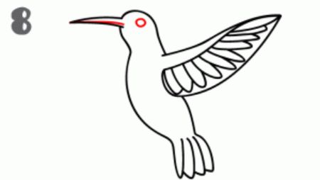 Simple Hummingbird Drawing