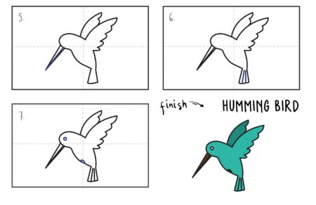 Step-by-Step Hummingbird Drawing