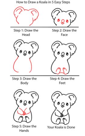 The 5-Step Koala Drawing Tutorial