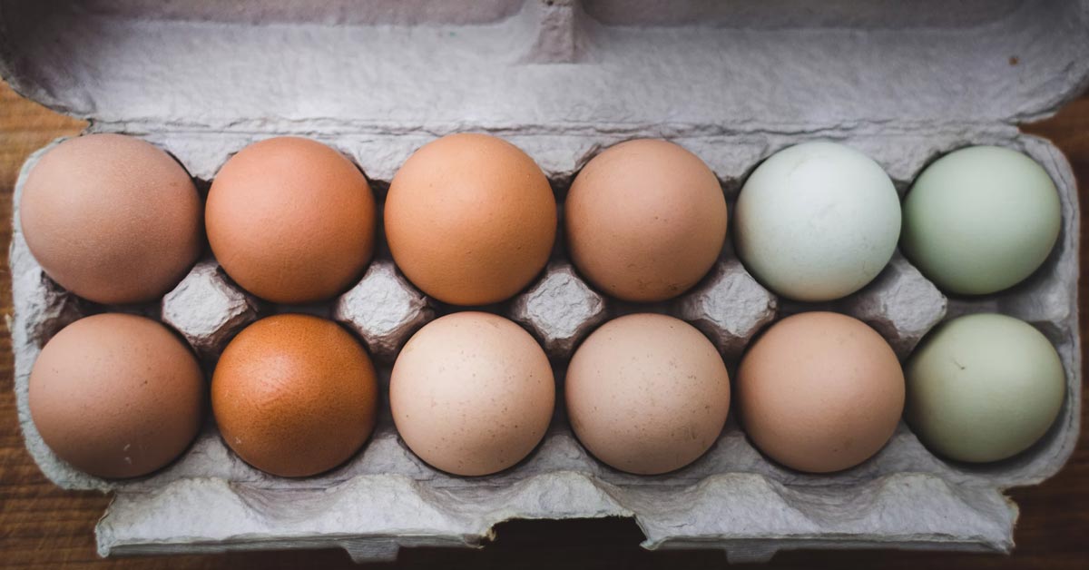 Инкубационные яйца птицы купить. Яйца разные. Яйцо домашнее куриное. Яйца птиц. Много яиц.