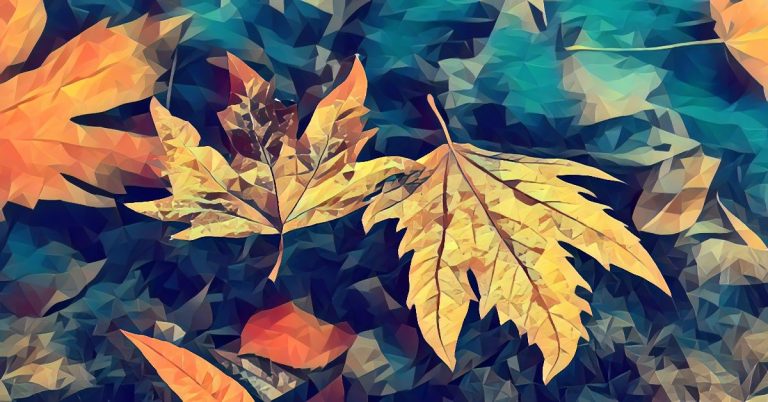 26 Picturesque Fall Perler Bead Patterns Cool Kids Crafts