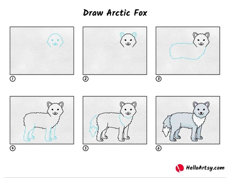 how to draw a arctic fox