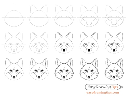 Person Drawing A Red Fox With Pencils Background, Easy Animal Picture To  Draw, Drawing, Easy Background Image And Wallpaper for Free Download