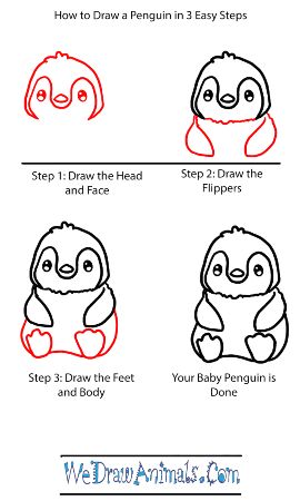 Baby Penguin Drawing Tutorial