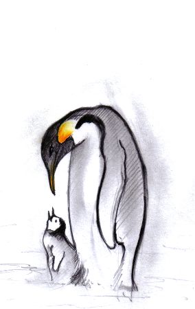 Baby and Mom Penguin Sketch