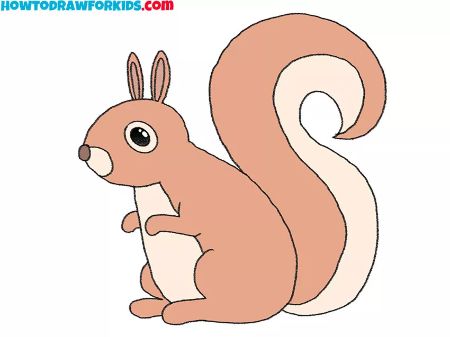 Cute Step-by-Step Squirrel Sketch
