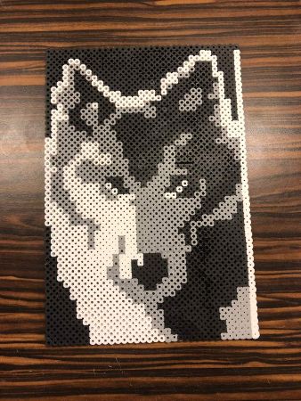 Majestic Wolf Perler Beads