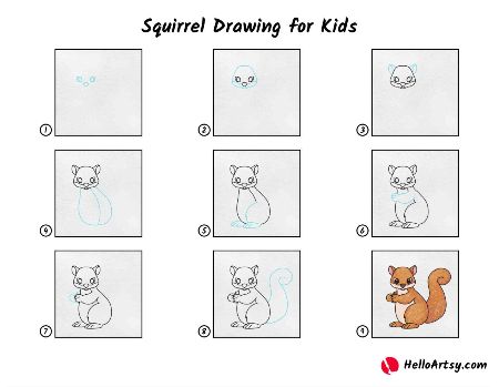 Squirrel Drawing for Kids