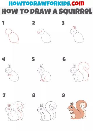 Step-by-Step Squirrel Drawing Tutorial