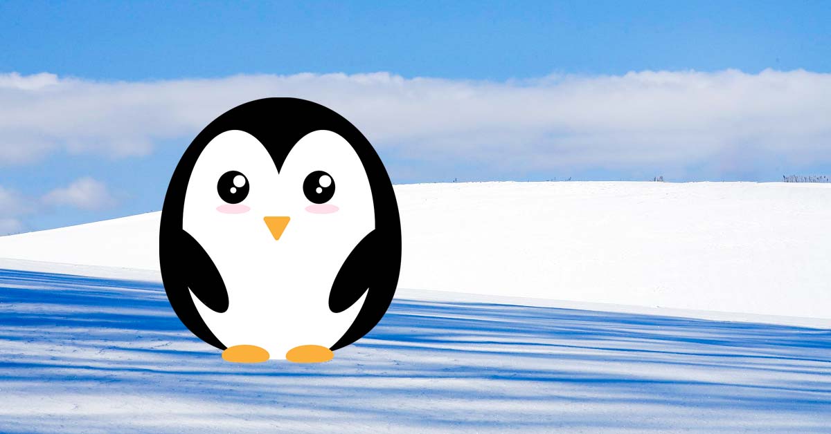 Premium Vector | Outline sketch penguins outline set the logo element the  wildlife of antarctica