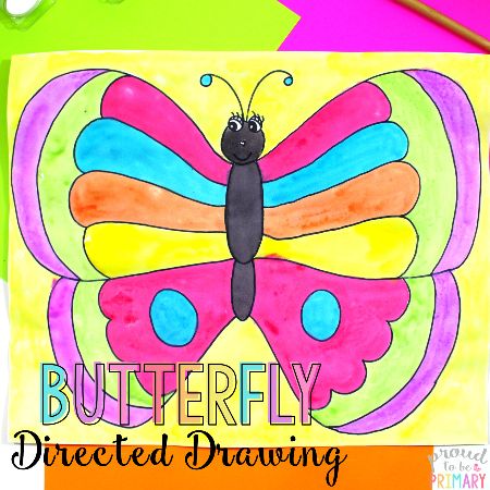 Butterfly Drawing with a Face