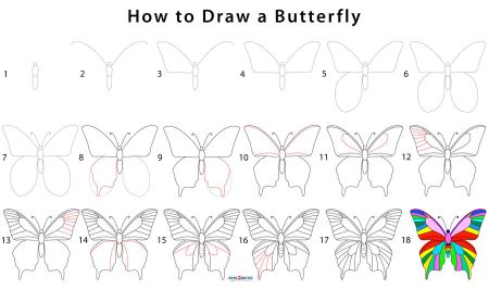 Colorful Butterfly Drawing