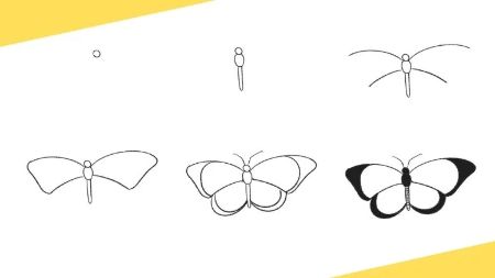 Easy Butterfly Drawing